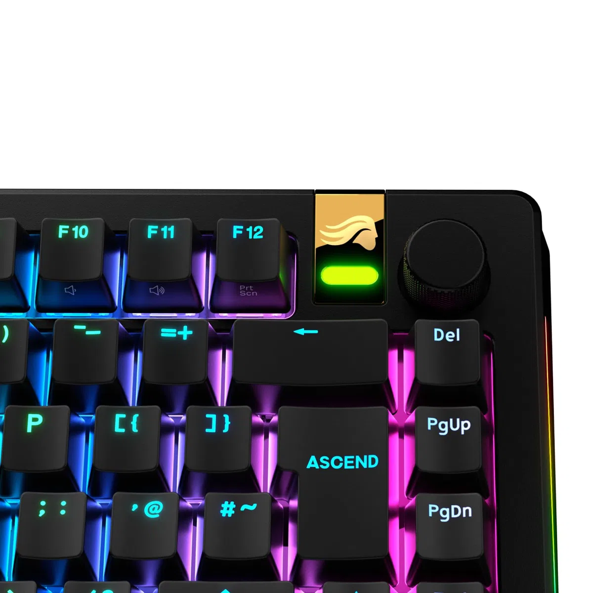Glorious Gaming - Teclas GPBT retroiluminadas: Leyendas translúcidas en Negro, Permiten el Paso de la luz, para teclados mecánicos de formatos 100%, 75%, 65% y 60%, distribución QWERTY inglés