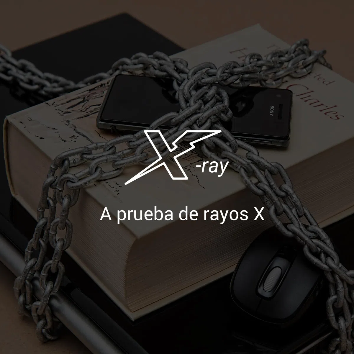 EZVIZ Tarjeta de Memoria Micro SD 32GB Memoria Profesional Tarjeta para Cámaras de Seguridad